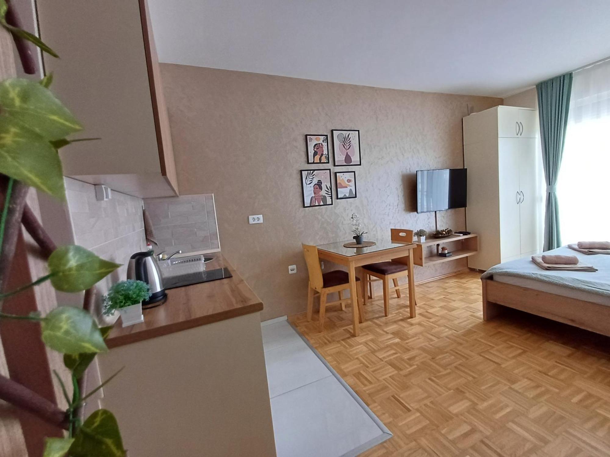 Jana Apartment Ohri Dış mekan fotoğraf